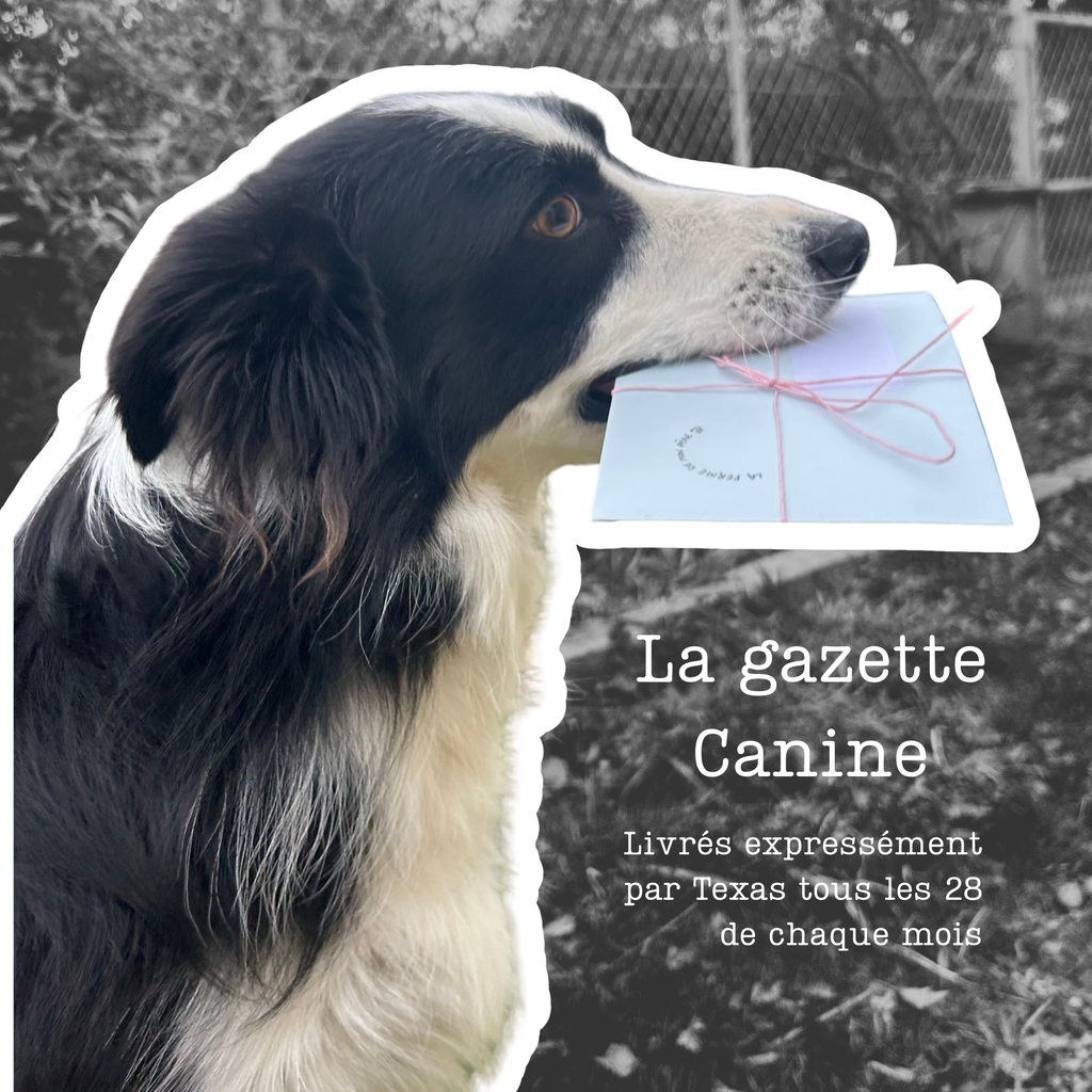 La gazette Canine